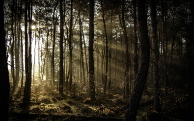 저공해차 스티커 발급