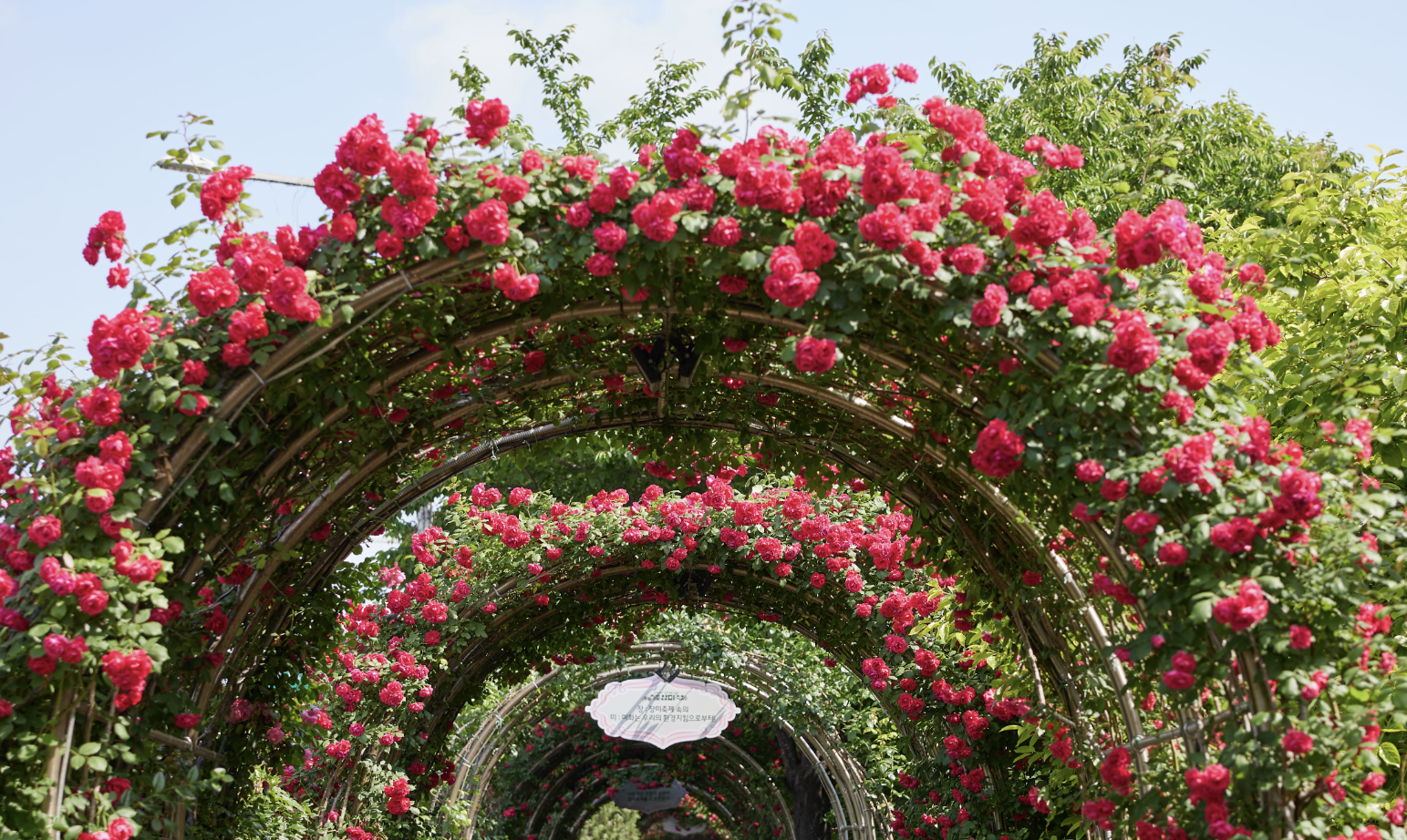 중랑 서울장미축제 포토존