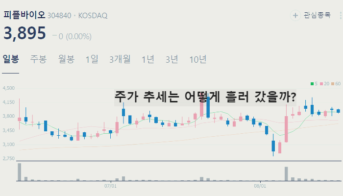일라이릴리 치매치료제 관련주 대장주 TOP10