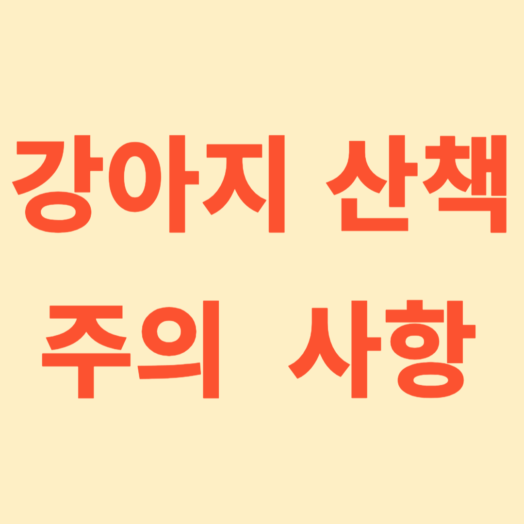 강아지 산책 주의 사항