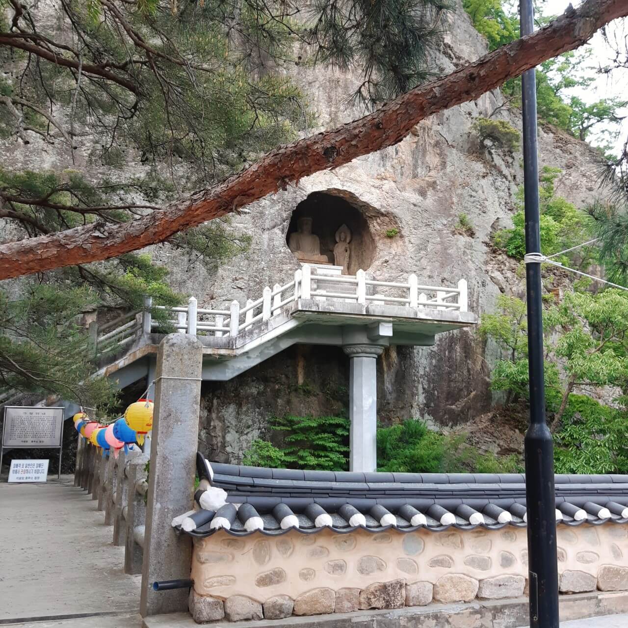 대구 가볼만한 단풍 여행은 어디일까? 대구 단풍 여행 총정리!