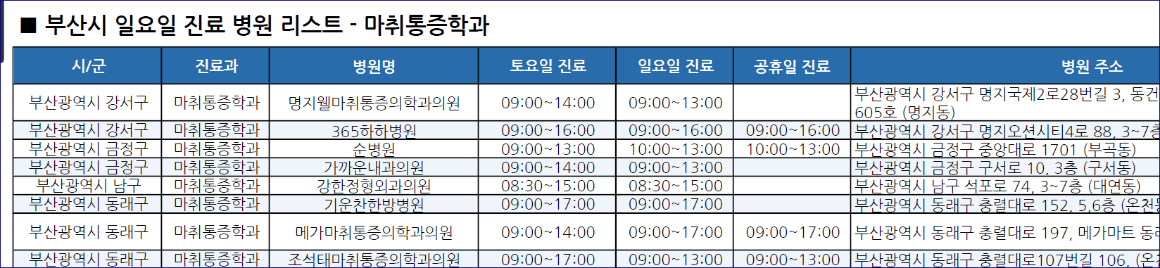 부산시-일요일-진료병원-리스트-예시
