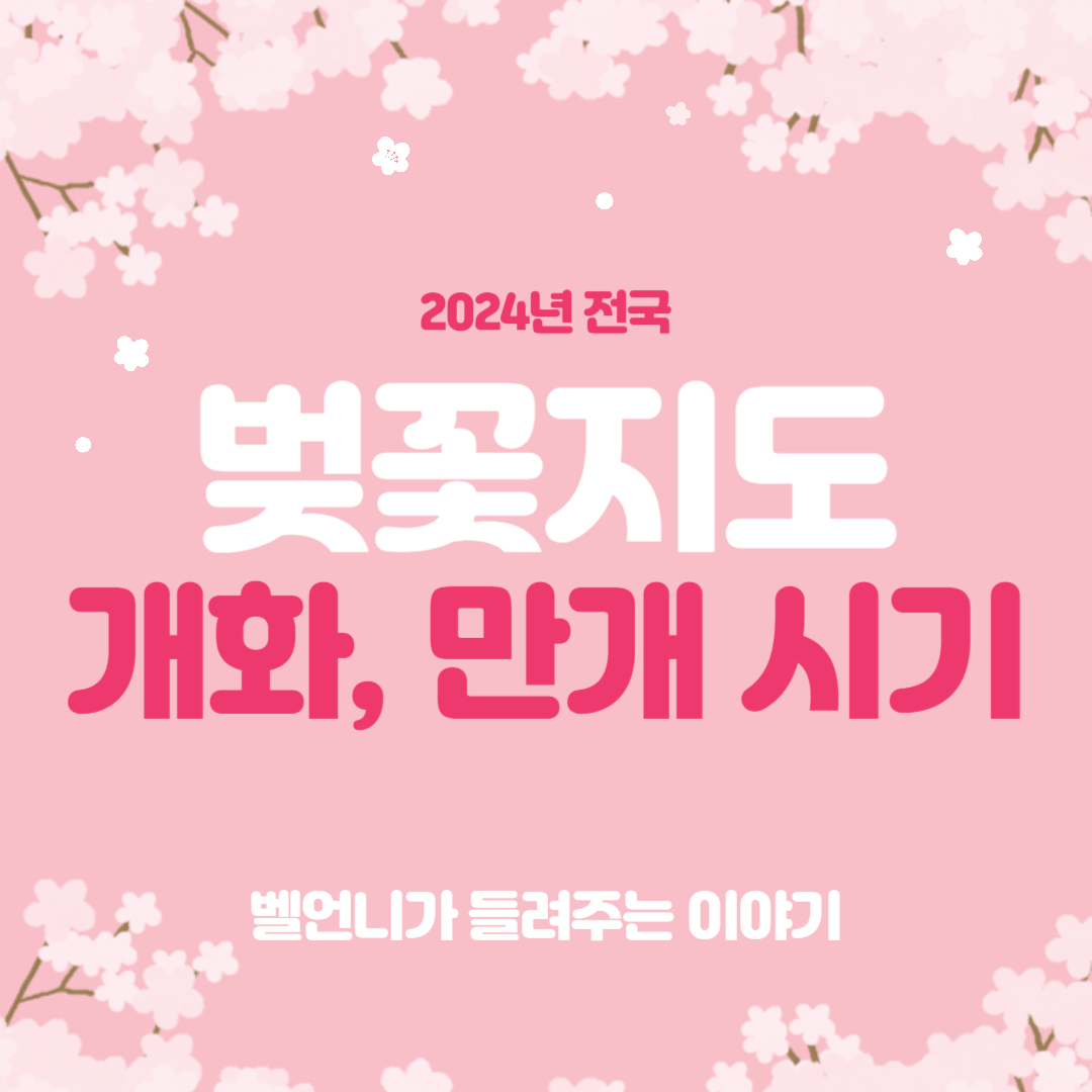 2024년 전국 벚꽃지도 개화시기 만개시기