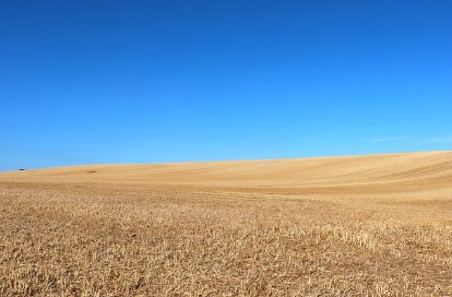 영농 경력 5년 쉽게 하는 법: 농지연금