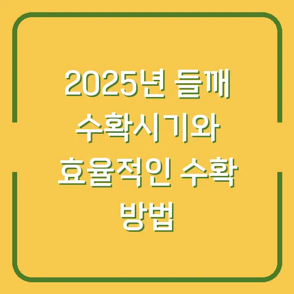 2025년 들깨 수확시기와 효율적인 수확 방법