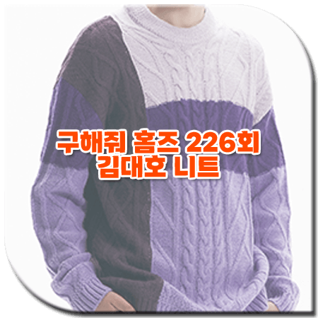 구해줘 홈즈 226회 김대호 니트