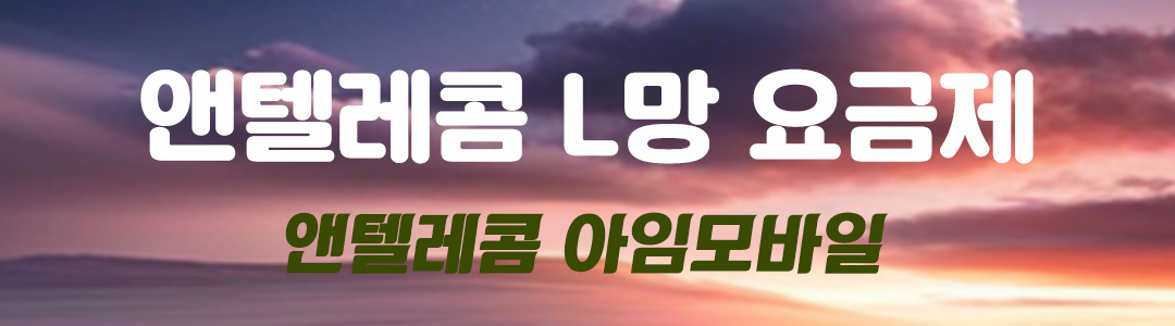 앤텔레콤L망 요금제 플랜