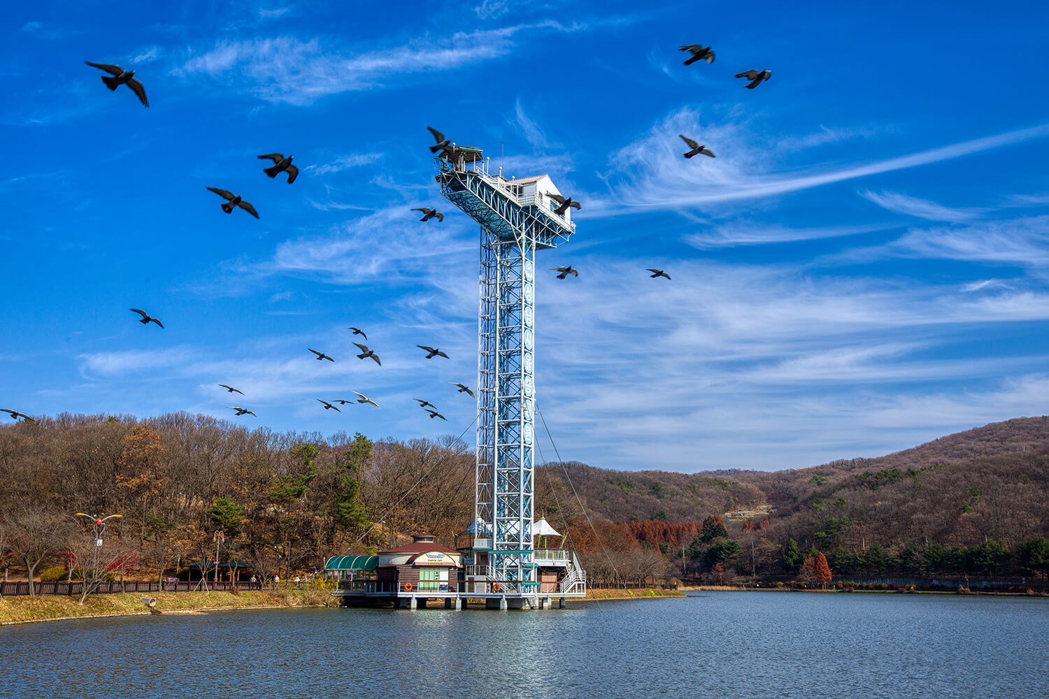 분당 율동공원