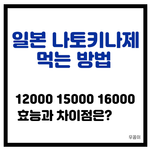 일본 12000 15000 16000 나토키나제 효능 차이과 먹는법