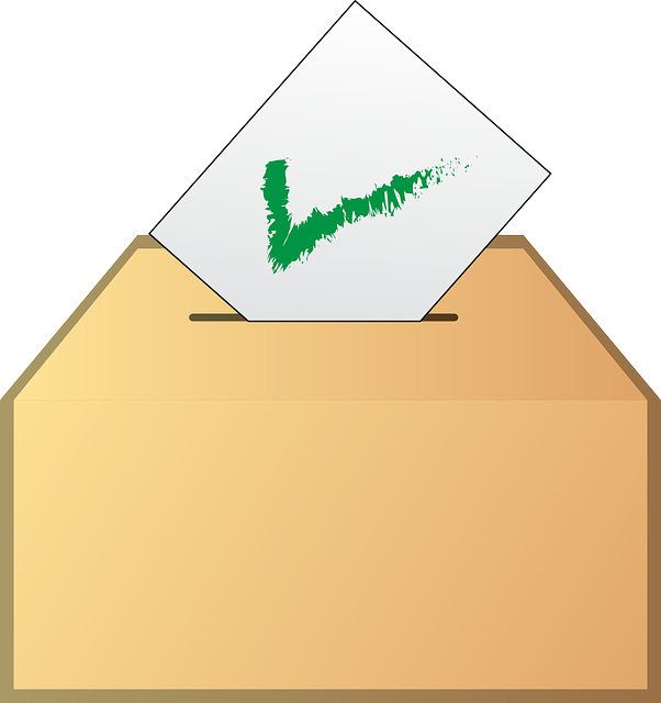 투표