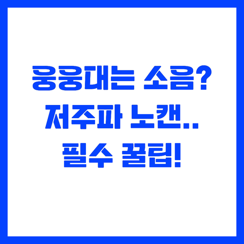 저주파 소음 차단하는 노캔 이어폰 똑..