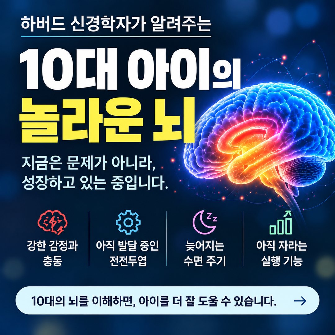 10대 아이의 뇌 발달과 감정 충동 수면 주기 실행 기능을 설명한 이미지