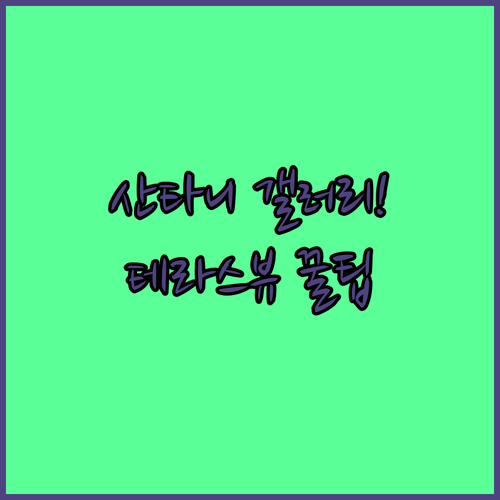 스페인 마요르카 산타니 여행 갤러리 ..