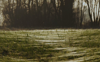 수락휴 예약 방법 쉽게 정리 11