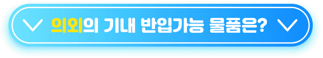 의외의 기내 반입가능 물품