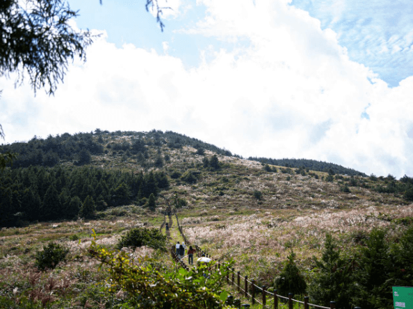 제주도 여행 가을 겨울 가볼만한 곳 오름 추천 입장료 소요시간 반려동물 동반