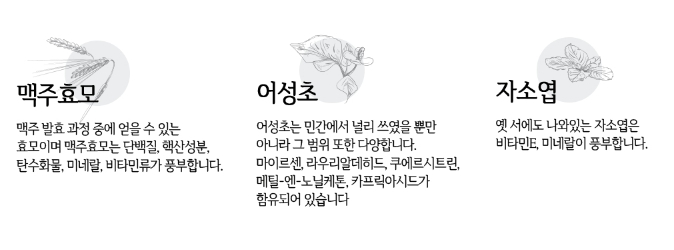 탈모에 좋은 음식과 탈모에 나쁜 음식