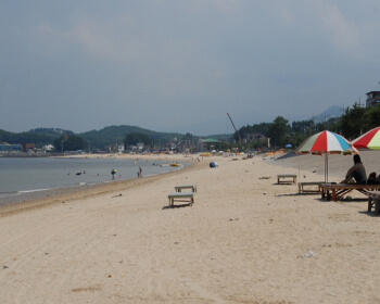 무창포 대하 전어축제_28