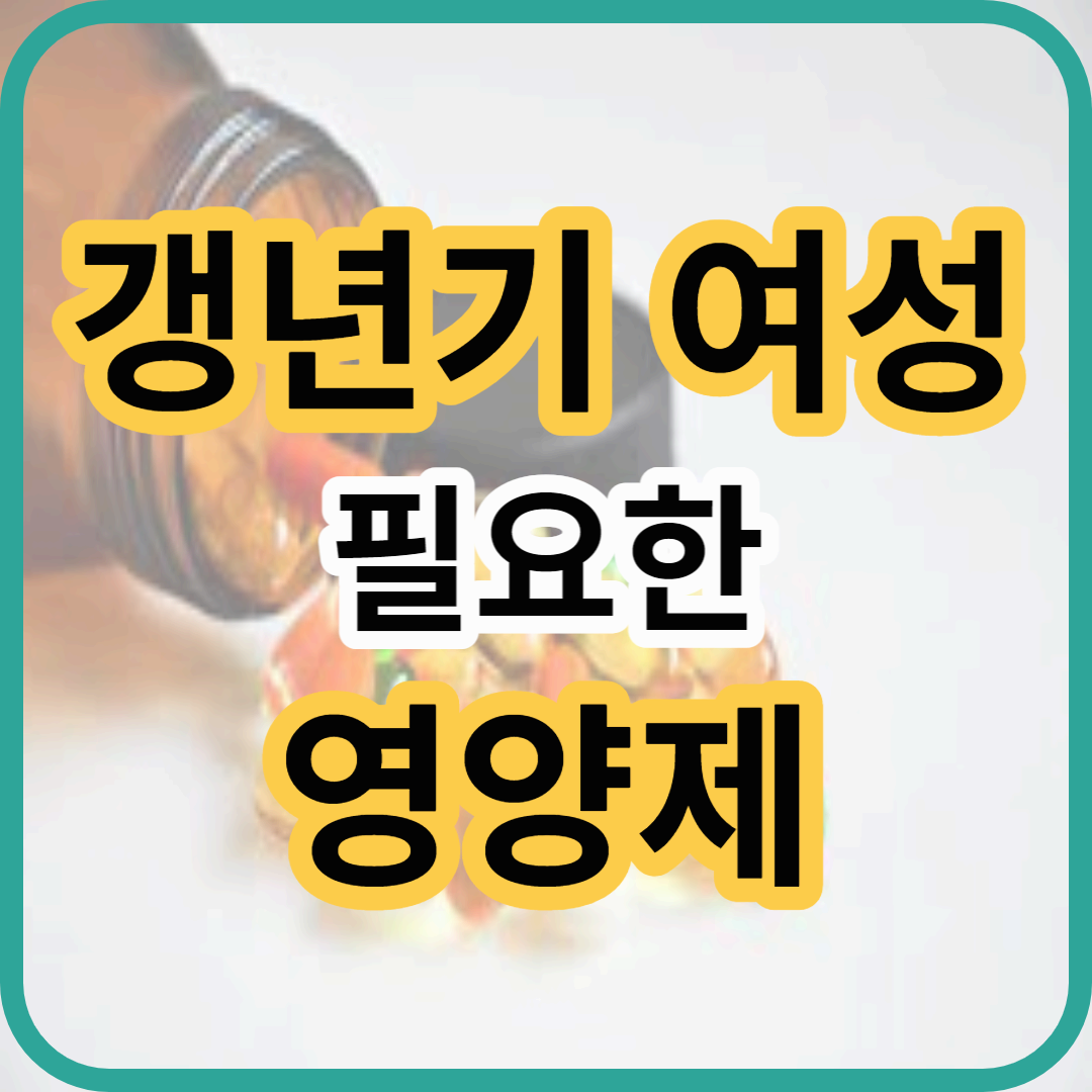 갱년제 영양제