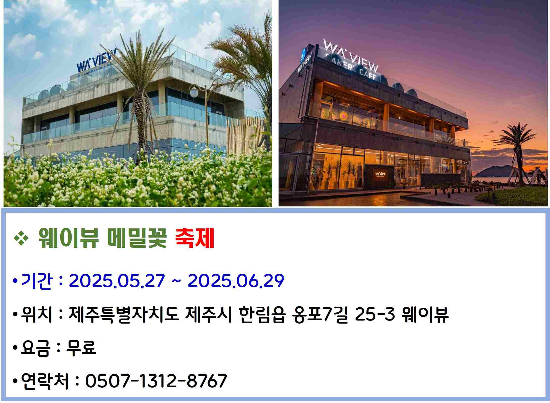 웨이뷰 메밀꽃 축제