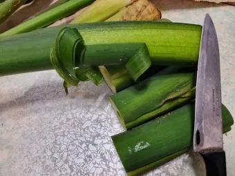 토란대 손질방법 말리는 방법을 정리_17