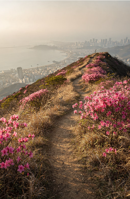 화성시 산책&middot;달리기&middot;트레킹 명소 완벽 가이드