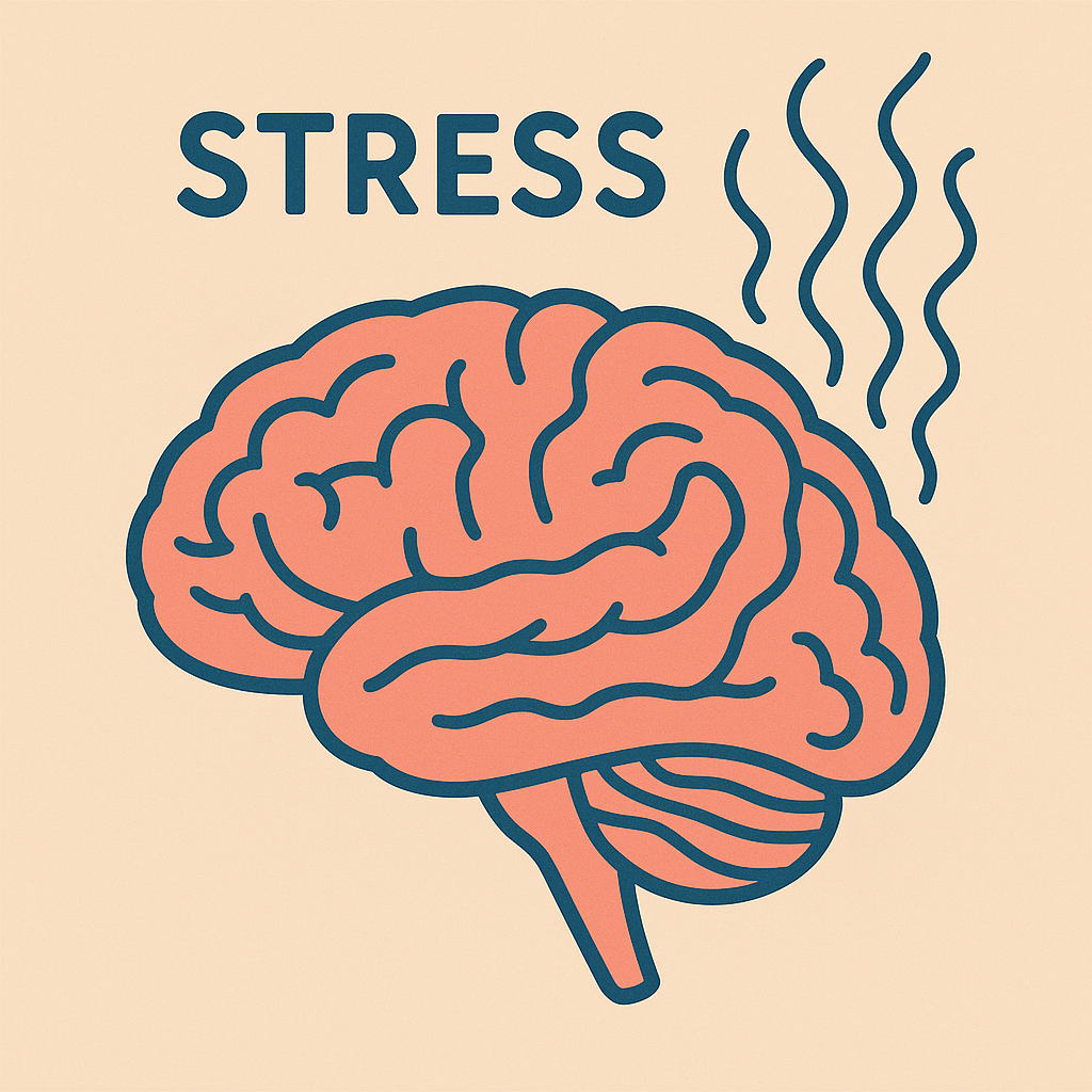 스트레스와 뇌와 관련한 이미지