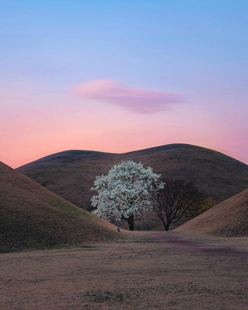 경주 가볼만한곳 베스트 10