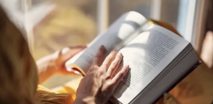 독서 초보 사진