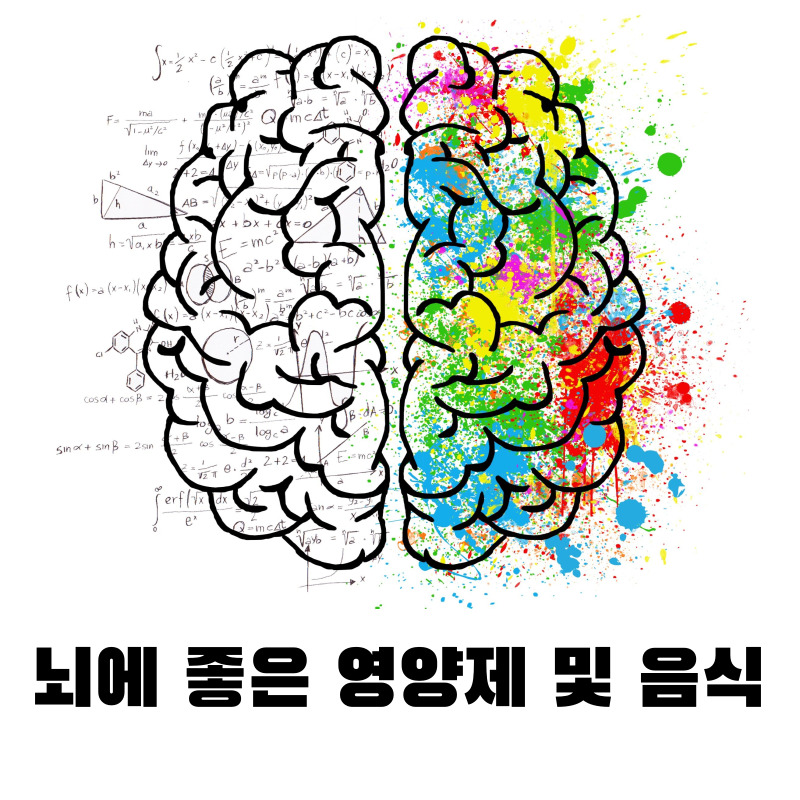 뇌에 좋은 영양제 및 음식