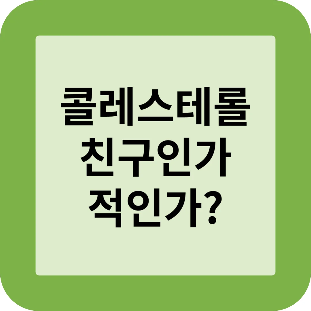 콜레스테롤 친구인가 적인가 썸네일
