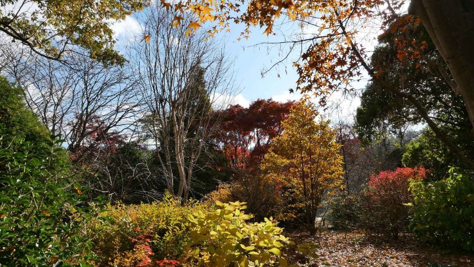 천리포 수목원 가을축제