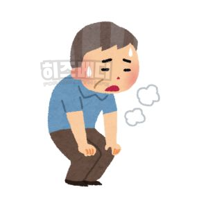철결핍성 빈혈 원인 증상