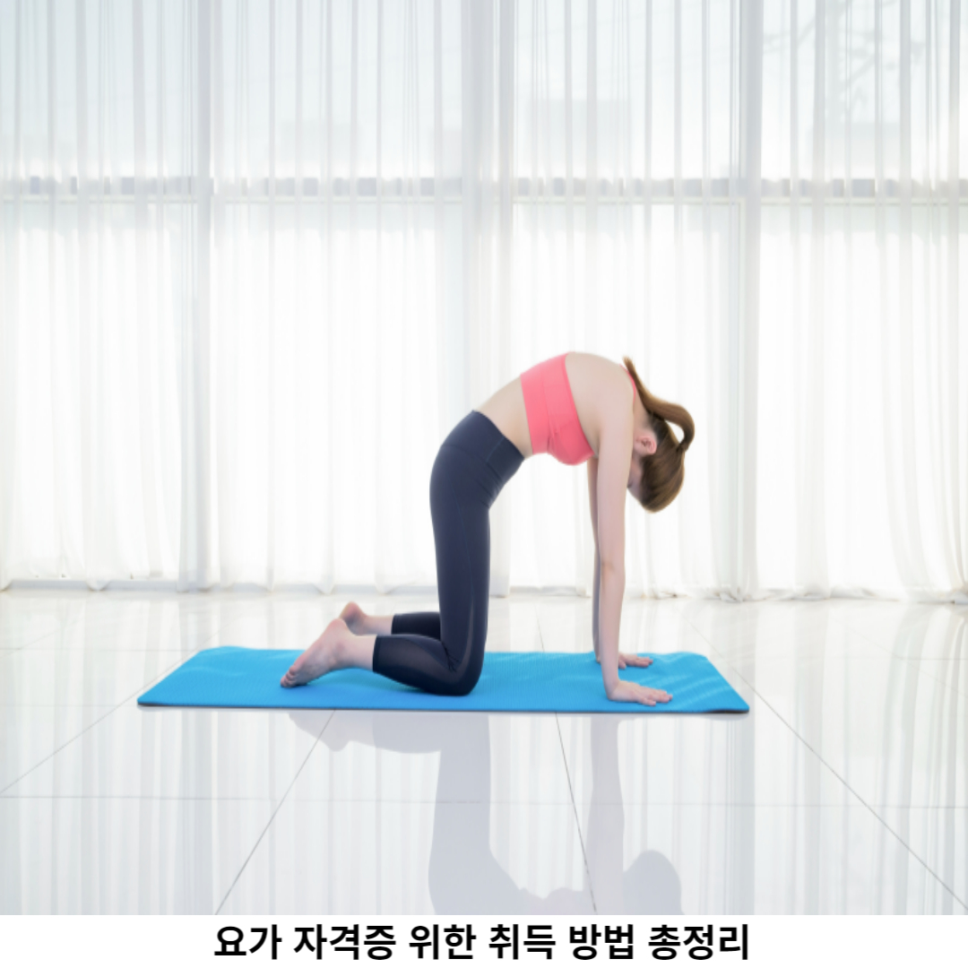 요가 란?