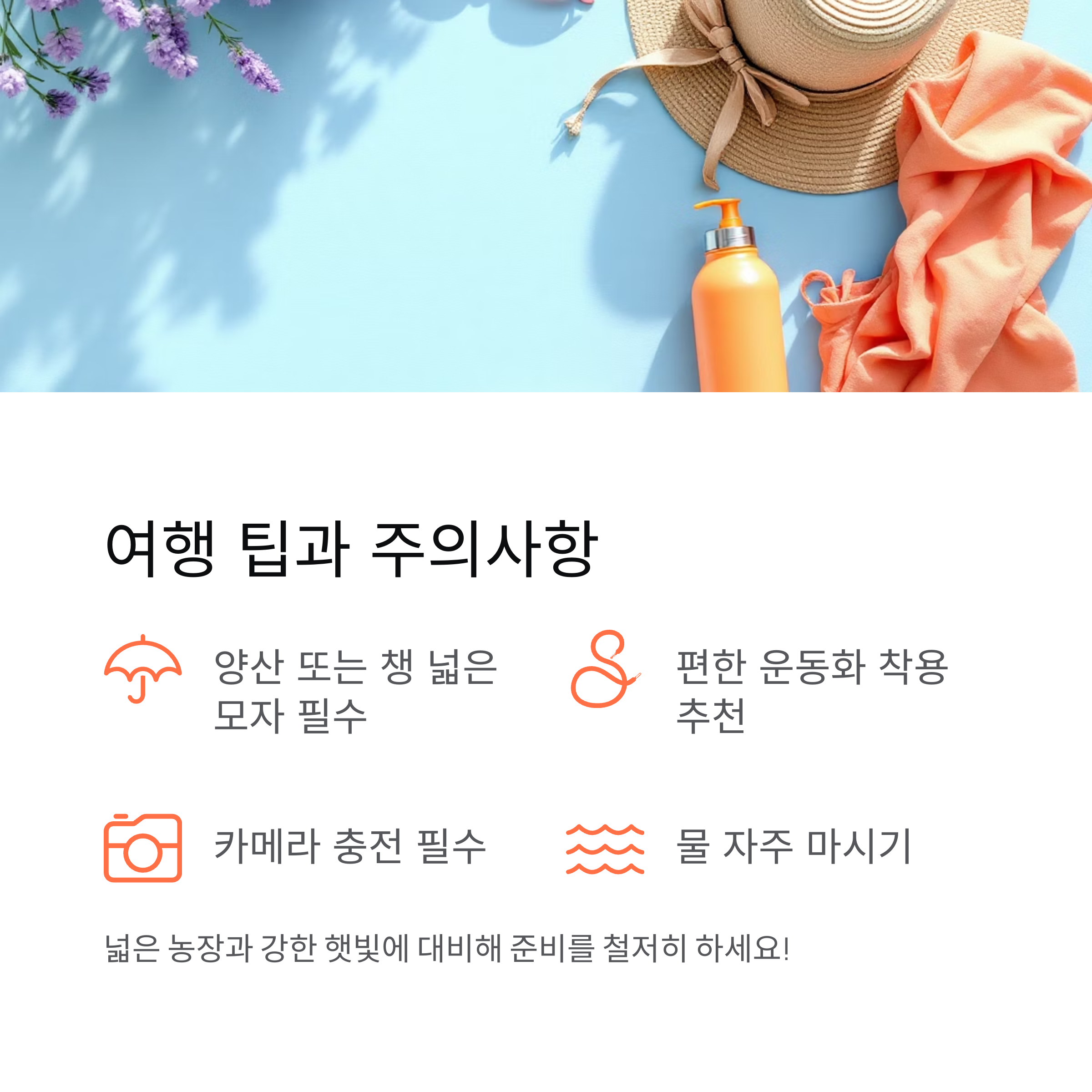 강원도 고성 하늬라벤더팜,