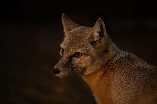 폴리코사놀 효능 알아보기 건강 보조제 정보_1