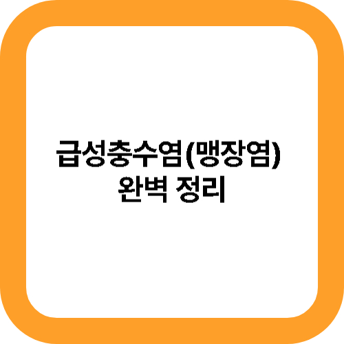 급성충수염(맹장염) 완벽 정리 대표사진