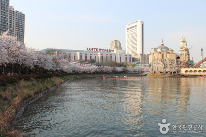 석촌호수벚꽃축제-이미지