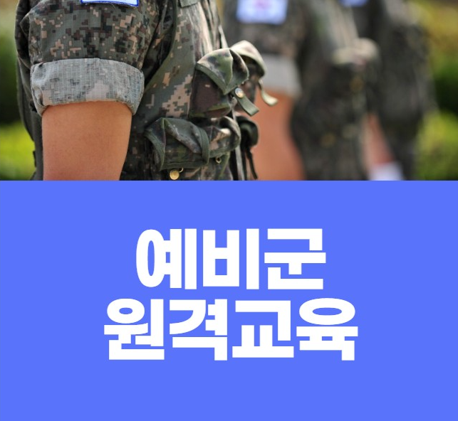 예비군 원격교육