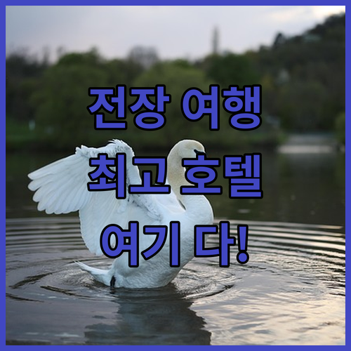 전장 여행, 최고의 호텔을 찾고 있다