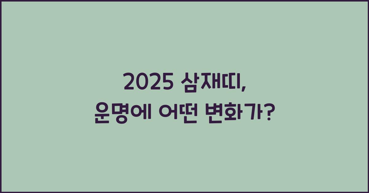 2025 삼재띠