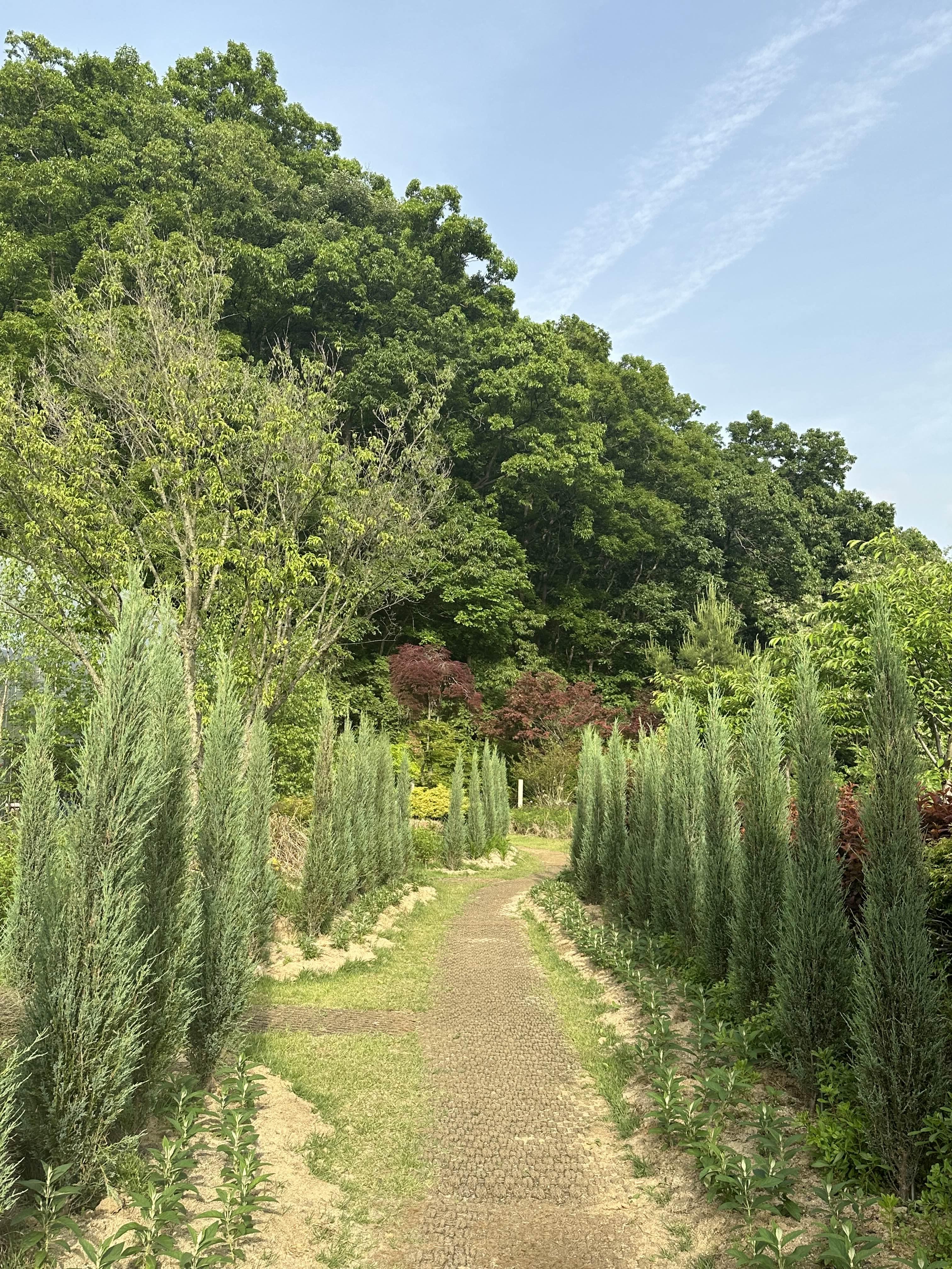 카페 뒷길
