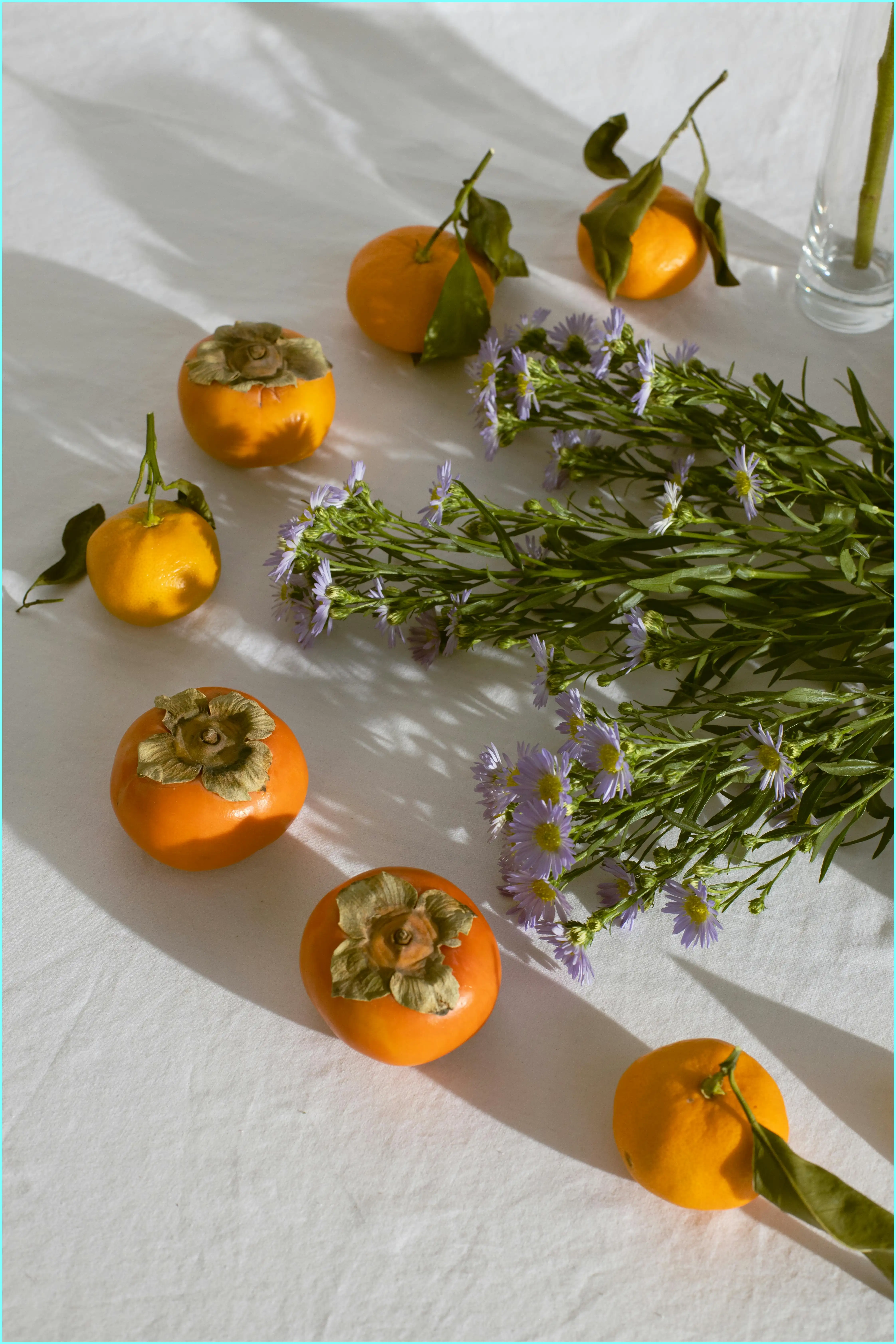 강아지 감 먹어도 되나요? 안전하게 먹이는 방법과 주의점