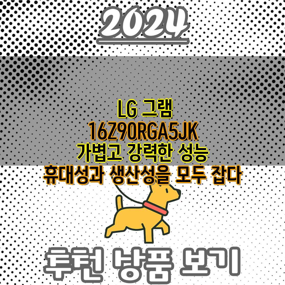  LG 그램 16Z90RGA5JK    가볍고 강력한 