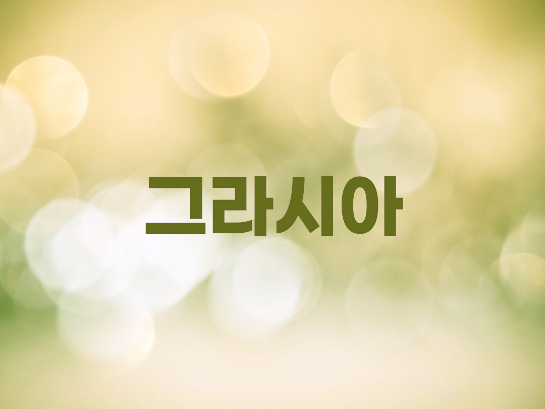 그라시아 천주교 남자세례명