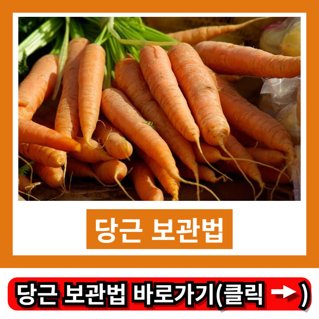 당근 보관법