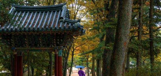국내여행 한국의 아름다운 여행지