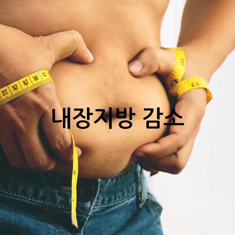 내장지방빼는음식