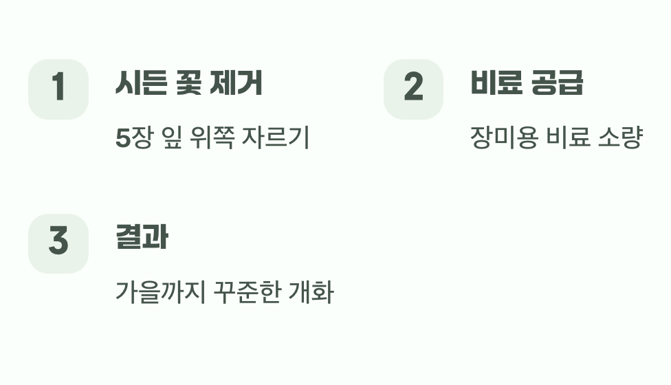 꽃이 진 뒤에 할 일
