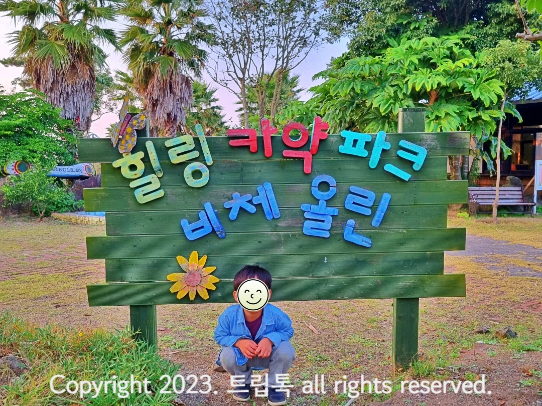 초록색 나무간판에 '힐링카약파크 비체올린'이라고 나무로 적혀있다.